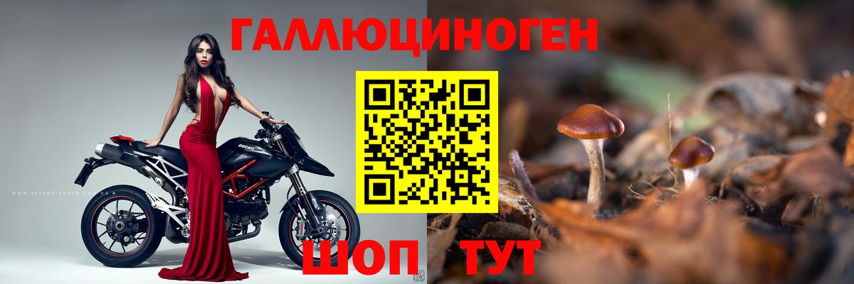 Галлюциногенные грибы ЛСД  Галлюциногенные грибы Psilocybine cubensis  Шадринск  Вход с VPN 